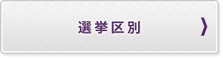 選挙区別