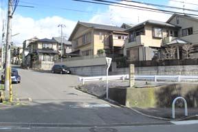 石碑周辺(0029216)