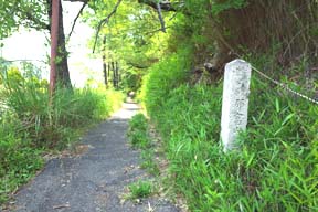 石碑周辺(0029409)