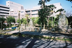 石碑周辺(0009355)