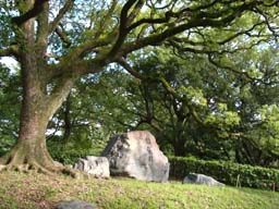 石碑周辺(0027615)