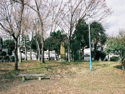 石碑周辺(0018562)
