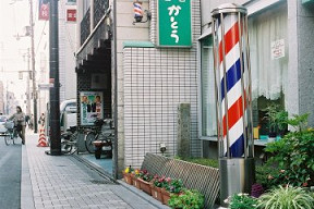 石碑周辺(0005159)