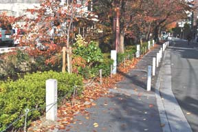 石碑周辺(0028115)