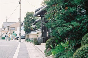 石碑周辺(0009840)