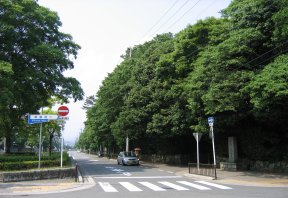 石碑周辺(0027099)