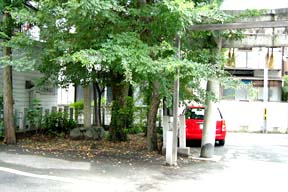 石碑周辺(0029273)