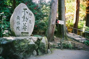 石碑周辺(0020505)