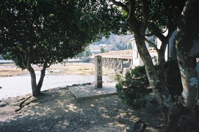 石碑周辺(0005868)