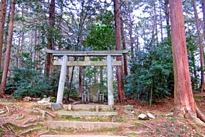 石碑周辺(0029184)