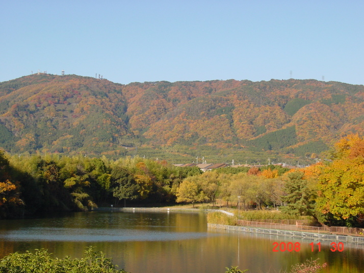 洛西ニュータウン内・竹の里の大蛇ヶ池公園から見た西山です。